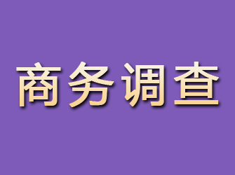 包头找私家侦探调查行踪要多少钱？全面了解费用结构与影响因素